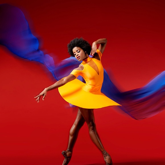 Meet your Posher, Millie - Picture 1 of 1